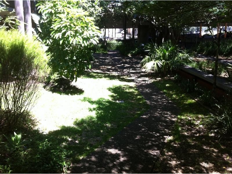 105/313 Harris Street, Pyrmont NSW 2009