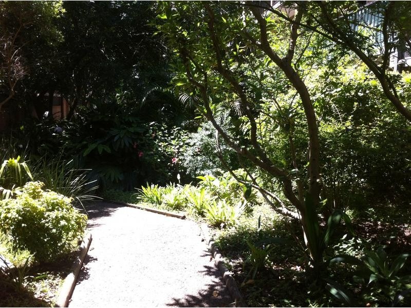 105/313 Harris Street, Pyrmont NSW 2009