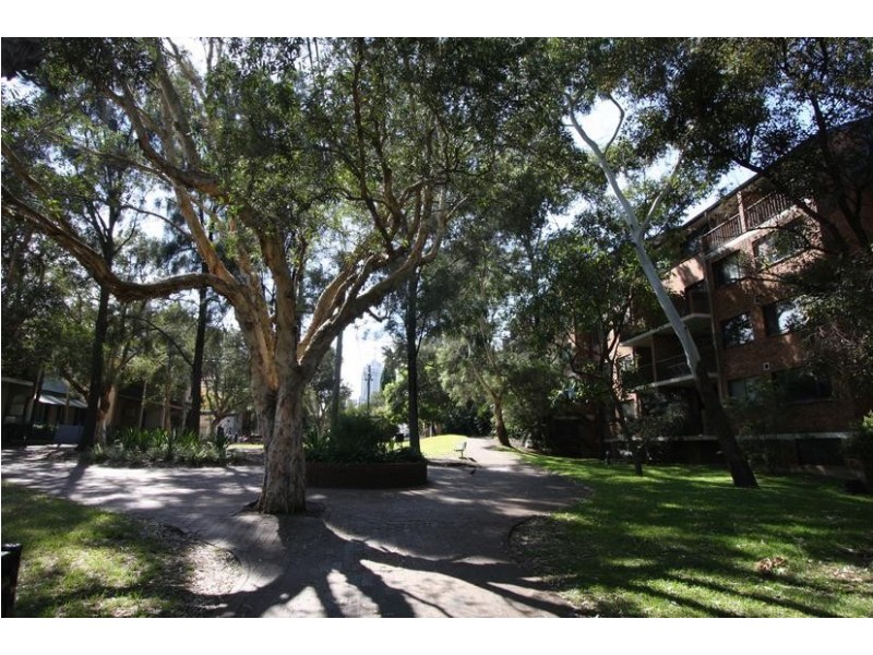 55/392 Jones Street, Ultimo NSW 2007