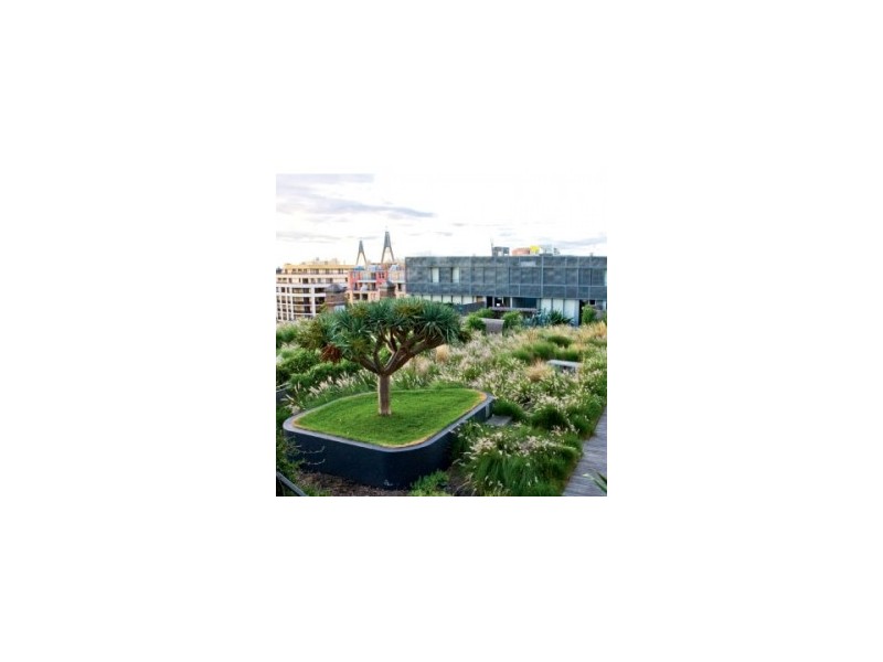 UG9/380 Harris Street, Pyrmont NSW 2009