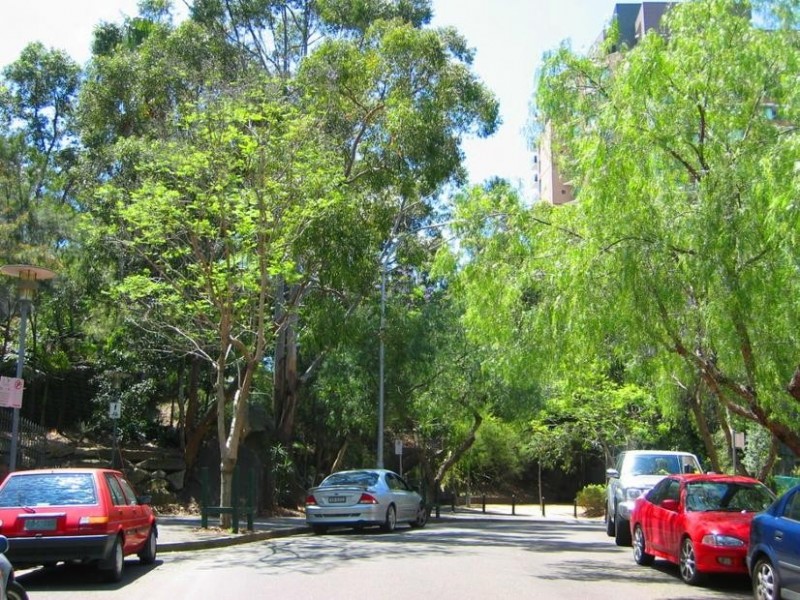 5/120 Saunders St, Pyrmont NSW 2009