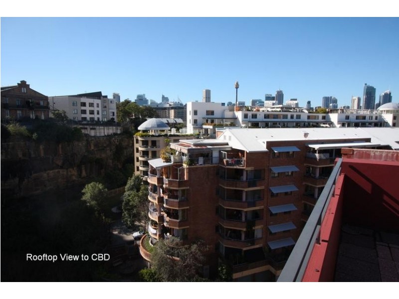 B1/40 Saunders Street, Pyrmont NSW 2009