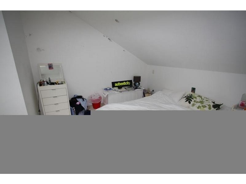 43 Little Mount St, Pyrmont NSW 2009