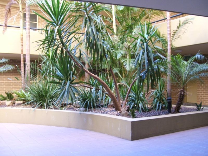 2/146-152 Cleveland Street, Chippendale NSW 2008