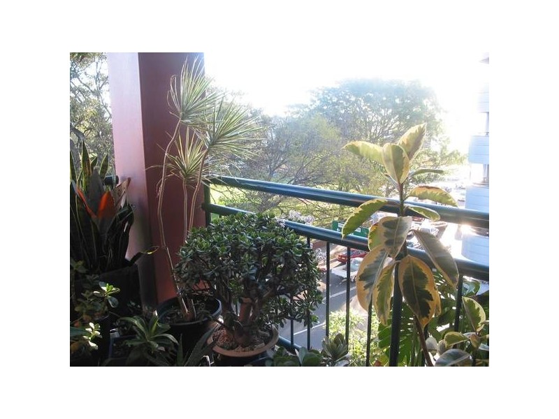 Wattle Crescent, Pyrmont NSW 2009