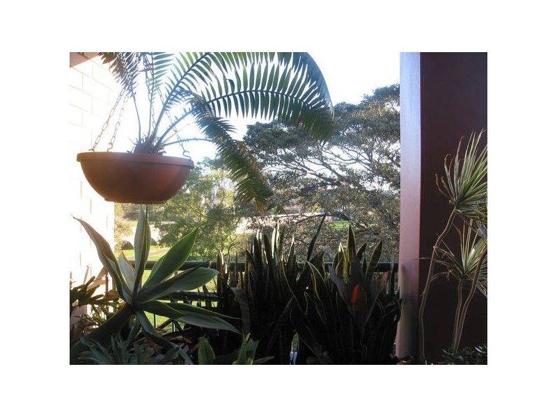 Wattle Crescent, Pyrmont NSW 2009