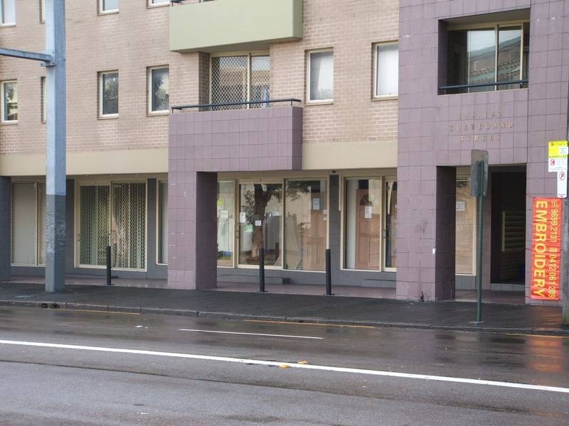 146 Cleveland St, Chippendale NSW 2008