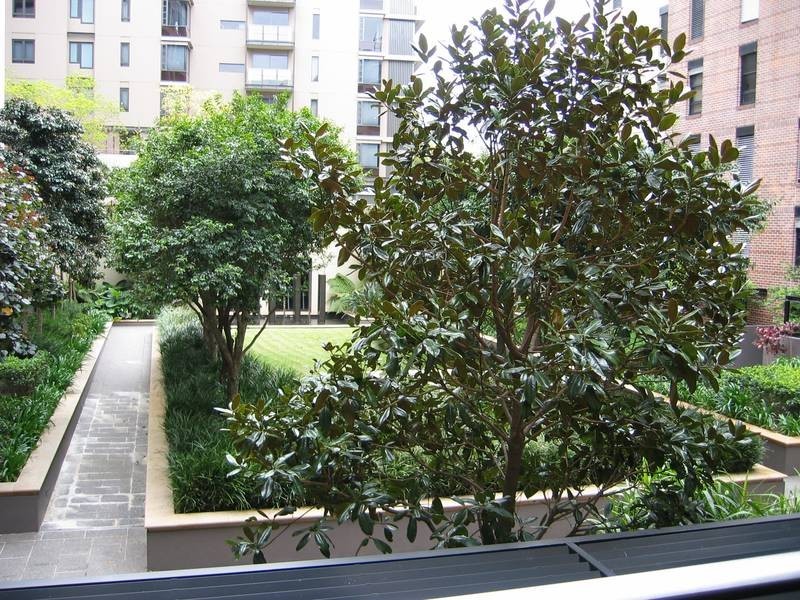 C303/26 Point Street, Pyrmont NSW 2009