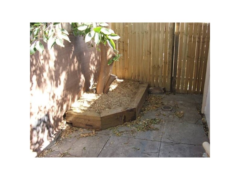 19 Little Mount Street, Pyrmont NSW 2009