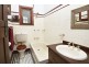 66 Palace Street, Petersham NSW 2049