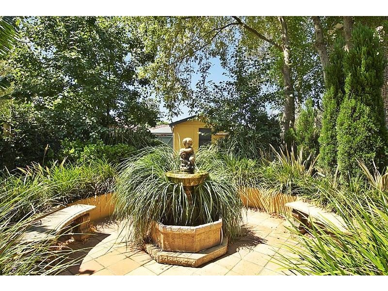 79 Frederick Street, Ashfield NSW 2131