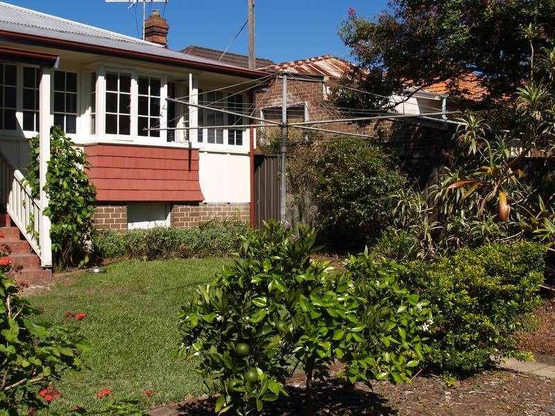 13 Dougan Street, Ashfield NSW 2131