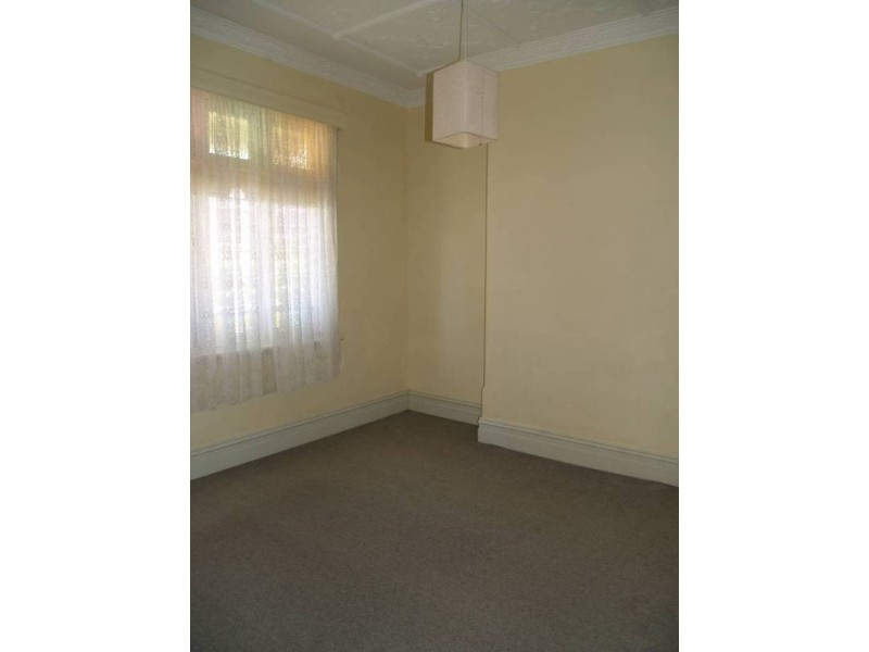 13 Dougan Street, Ashfield NSW 2131