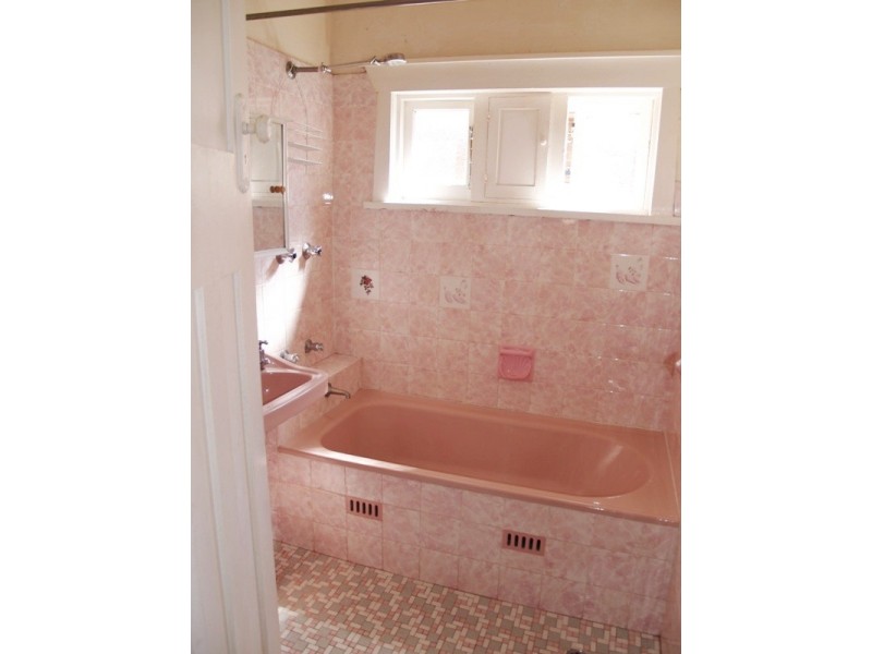 3 First Street, Ashbury NSW 2193