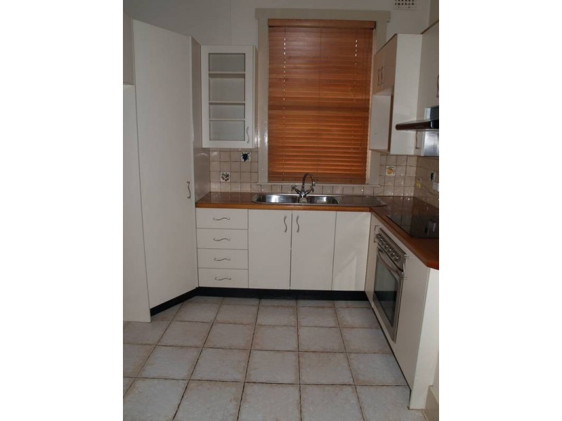 20 Frederick Street, Ashfield NSW 2131