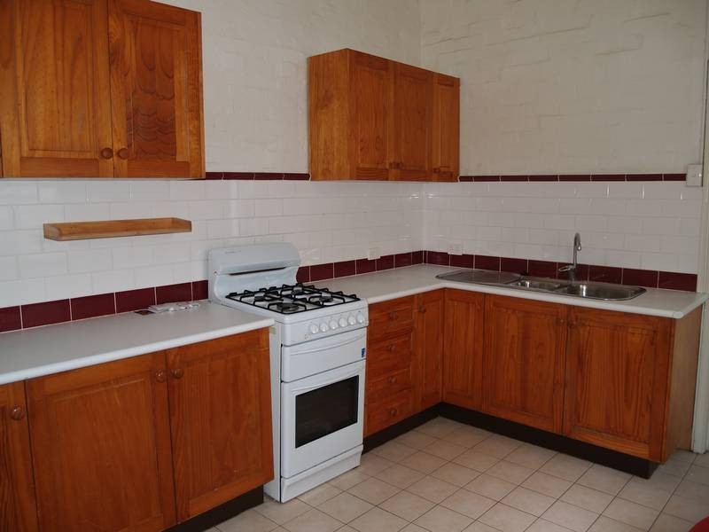 245 Trafalgar Street, Petersham NSW 2049