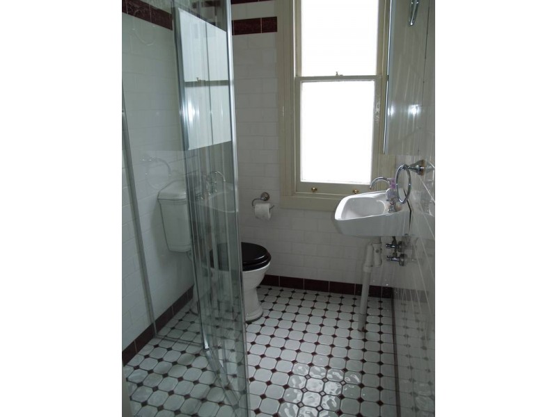 245 Trafalgar Street, Petersham NSW 2049