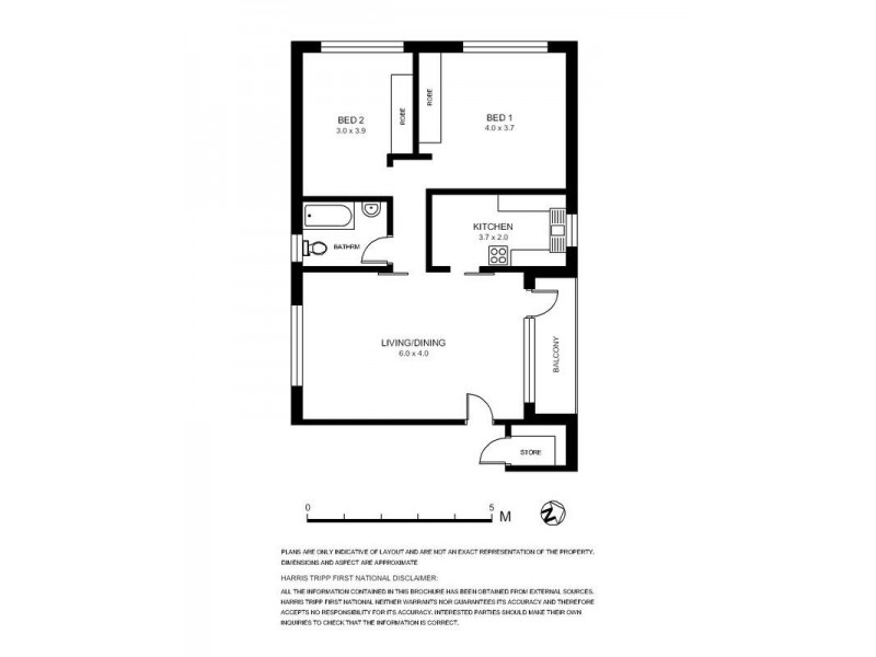 3/7 Grainger Avenue, Ashfield NSW 2131