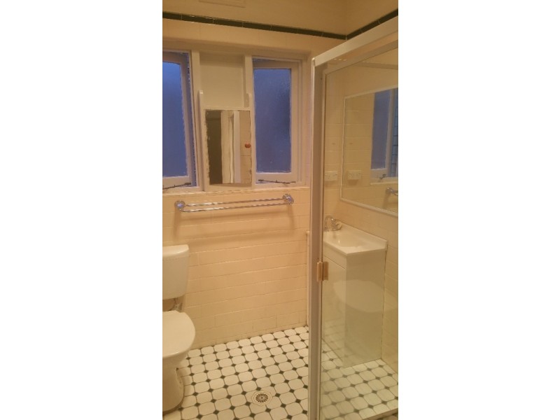 1/3 Allman Ave, Summer Hill NSW 2130