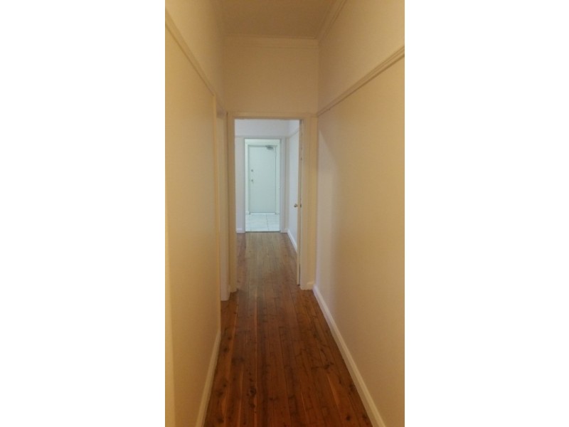 1/3 Allman Ave, Summer Hill NSW 2130