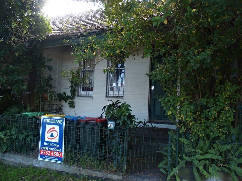 66 Birrell Street, Bondi Junction NSW 2022
