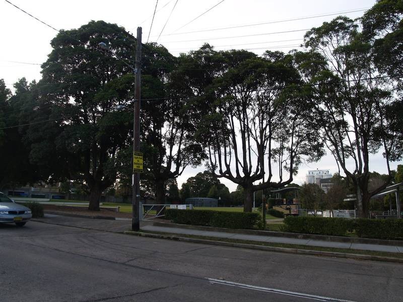 81 Constitution Road, Dulwich Hill NSW 2203