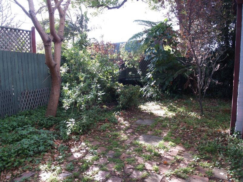 4 Carrington Street, Lewisham NSW 2049