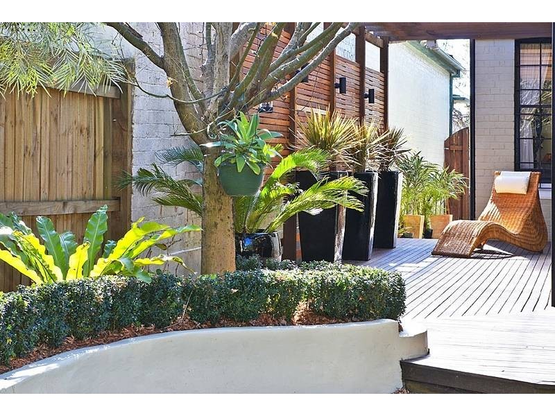 17 Pigott Street, Dulwich Hill NSW 2203