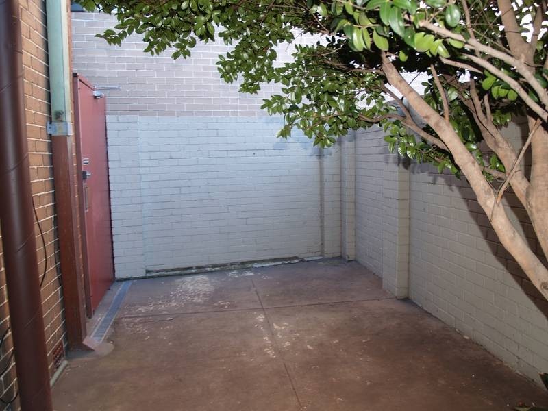 9/60 Carlton Crescent, Summer Hill NSW 2130