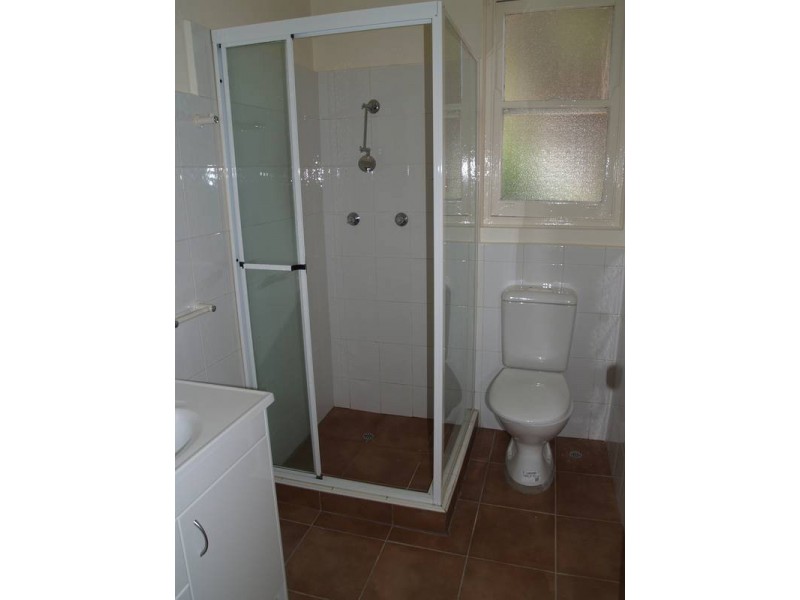 1/31 Elizabeth Street, Ashfield NSW 2131