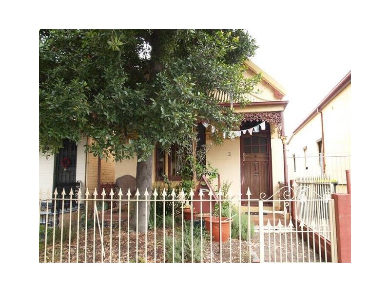 3 Morton Avenue, Lewisham NSW 2049