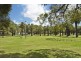 59 Ormond Street, Ashfield NSW 2131