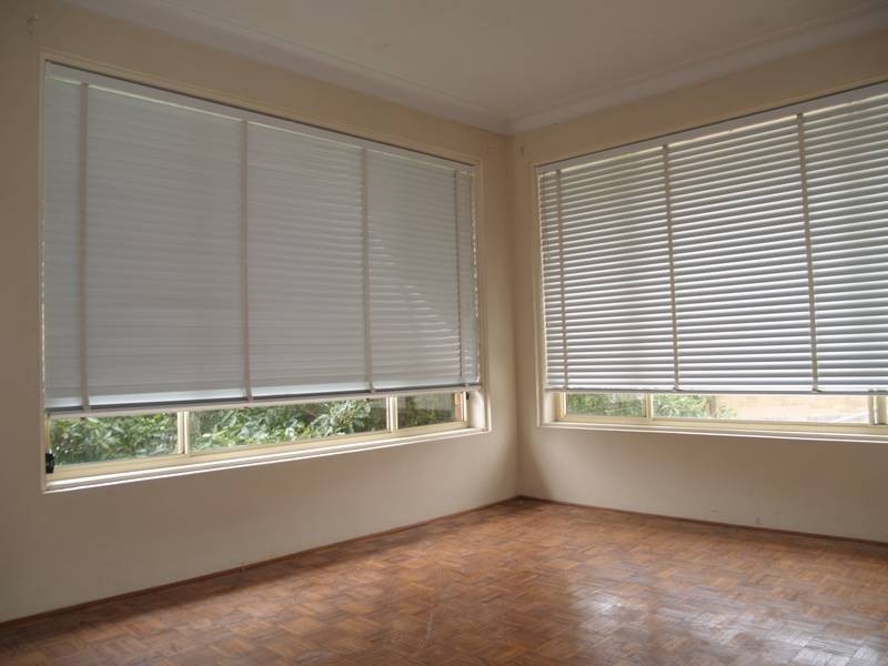 3/43 Canterbury Road, Canterbury NSW 2193