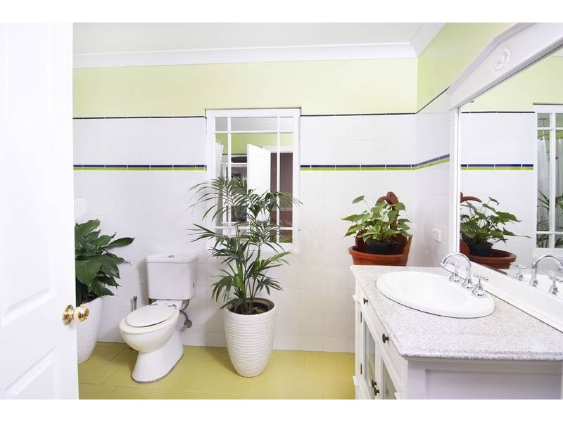 15 Grosvenor Crescent, Summer Hill NSW 2130