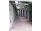 45 Morgan Street, Petersham NSW 2049