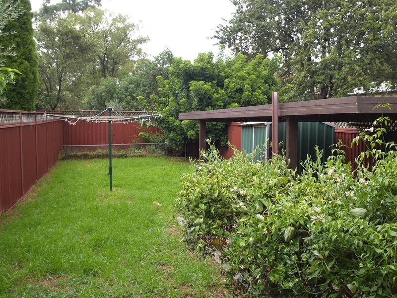 66 John Street, Ashfield NSW 2131