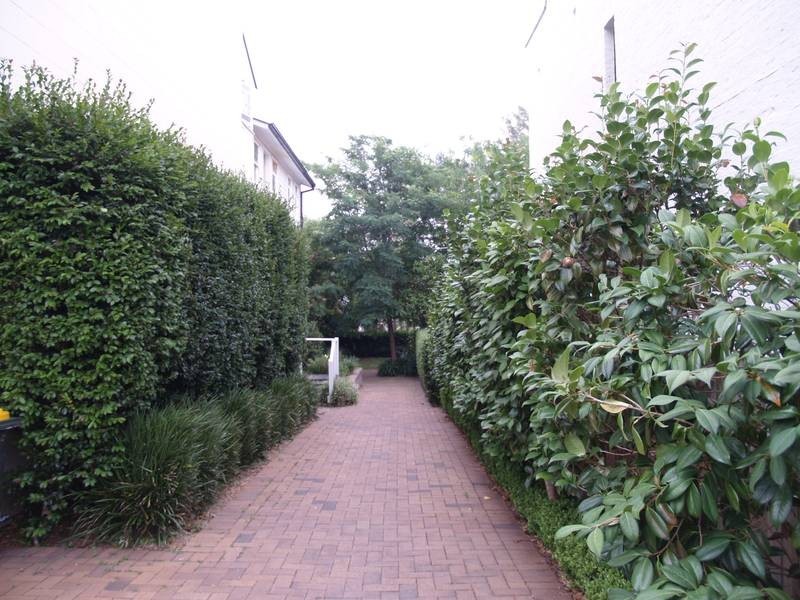 6/48 Denison Road, Lewisham NSW 2049