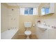 133 Park Avenue, Ashfield NSW 2131