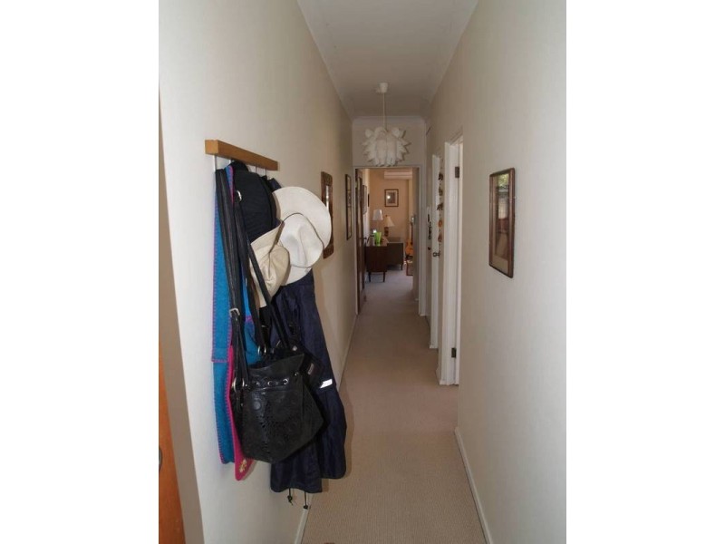 9/7 The Avenue, Ashfield NSW 2131