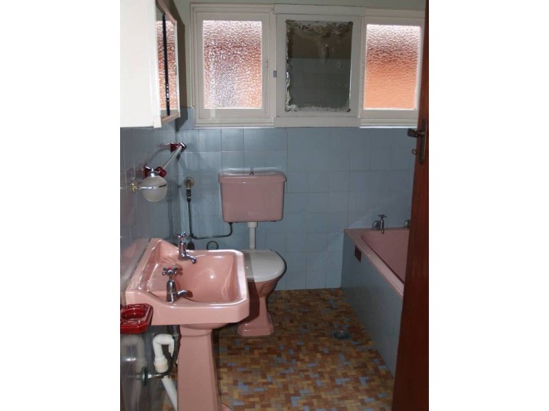 26 Greenhills Street, Croydon NSW 2132