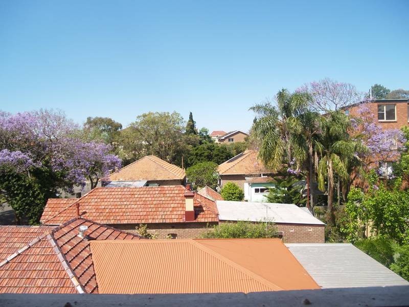 14/43-45 Cecil Street, Ashfield NSW 2131