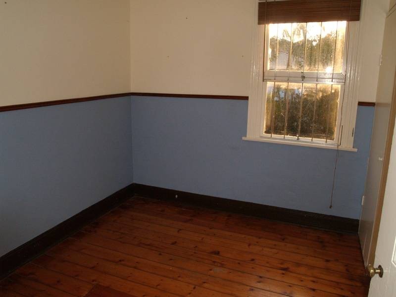 13 Louisa Street, Summer Hill NSW 2130