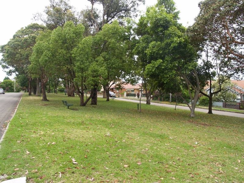 11 Victoria Square, Ashfield NSW 2131