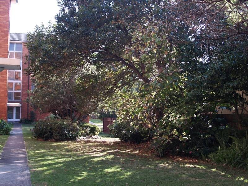 21/5-7 Norton Street, Ashfield NSW 2131