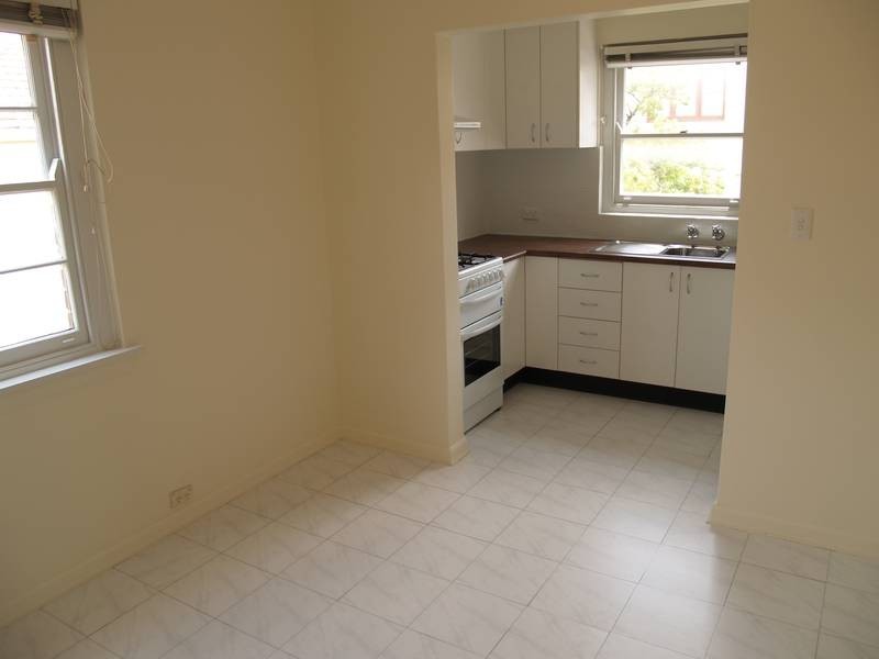 2/3B Rose Street, Ashfield NSW 2131
