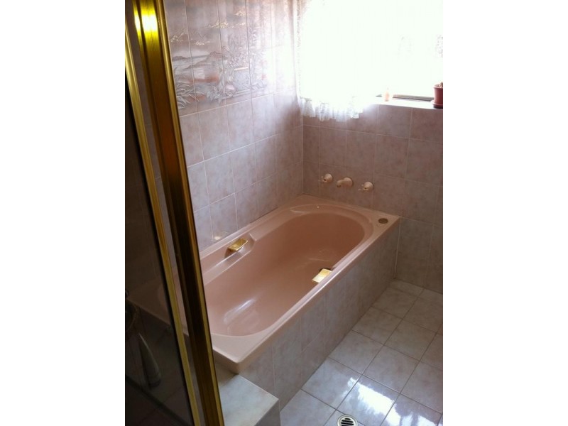 11 Crieff Street, Ashbury NSW 2193