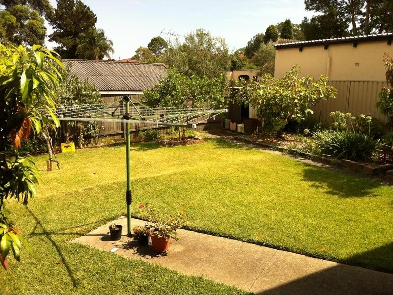 11 Crieff Street, Ashbury NSW 2193