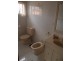 11 Crieff Street, Ashbury NSW 2193