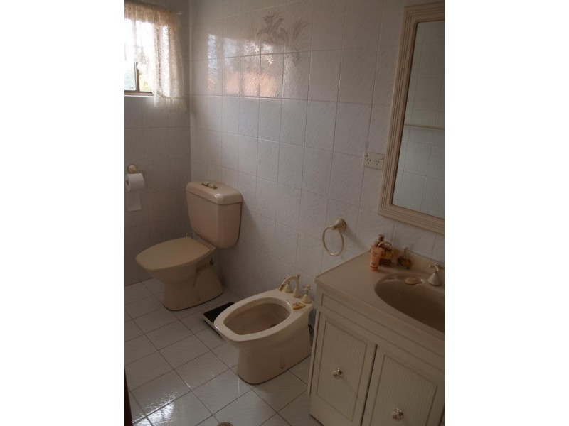 11 Crieff Street, Ashbury NSW 2193