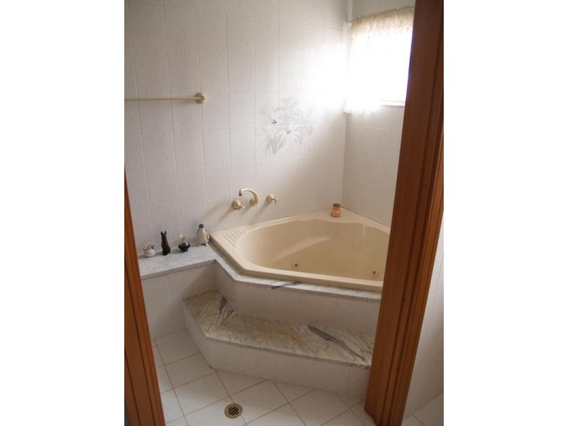 11 Crieff Street, Ashbury NSW 2193
